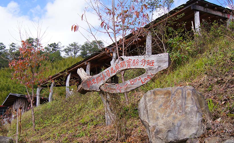 新光國小司馬庫斯實驗分班影像4